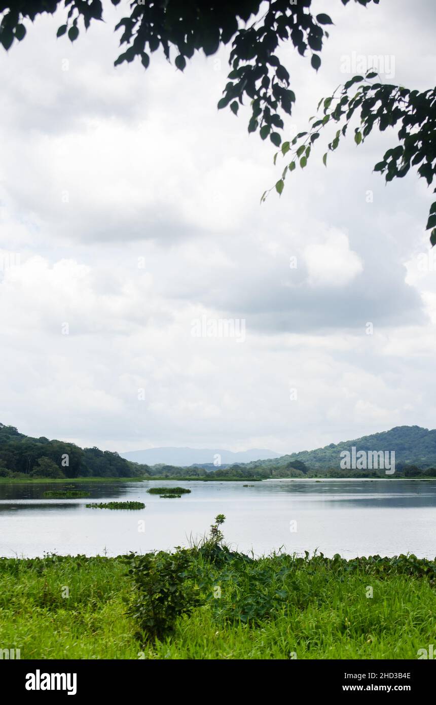 Vue sur la rivière Chagres à Gamboa Banque D'Images