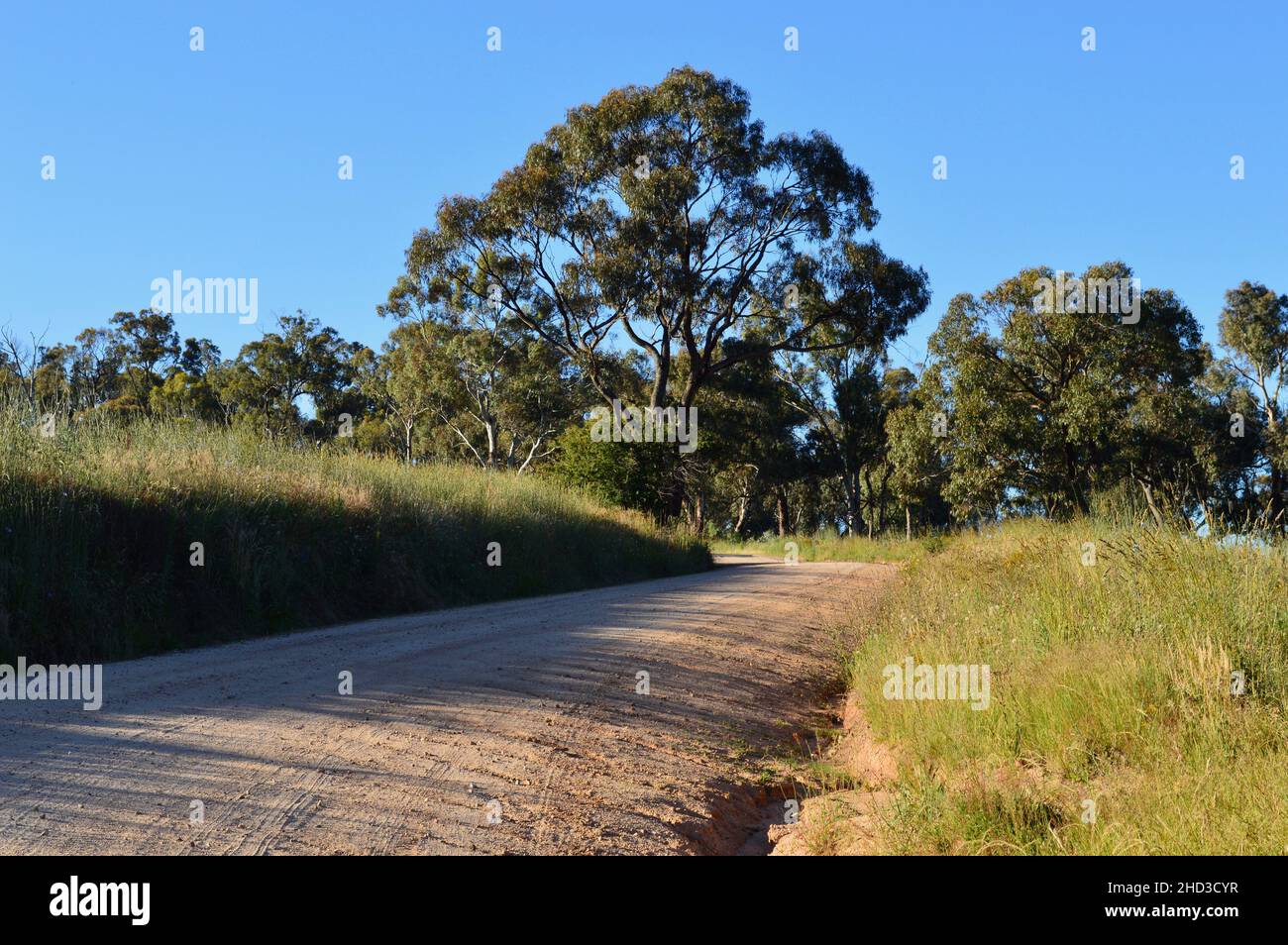 Une route de terre près de la vallée de Snake en milieu rural, Nouvelle-Galles du Sud, Australie Banque D'Images