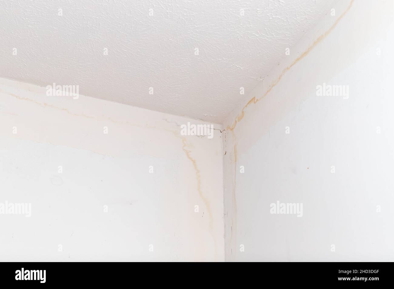 Taches sur le plafond et le mur en cas de fuite d'eau Banque D'Images