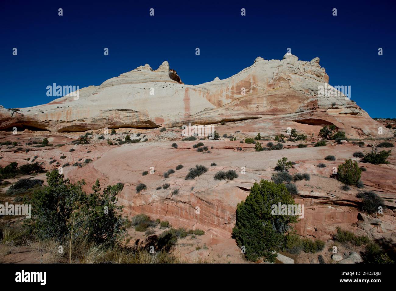 White Pocket Arizona au monument national de Vermillion Cliffs Banque D'Images