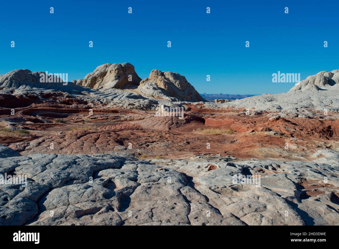 Poche blanche dans le monument national de Vermillion Cliffs en Arizona Banque D'Images