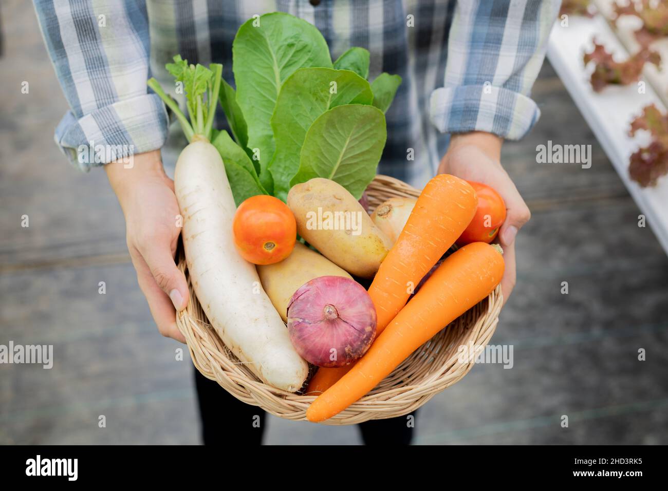 Fermier tenant un panier de légumes biologiques. Les légumes biologiques des fermes qui sont prêts à être exportés des agriculteurs de l'homme. Banque D'Images