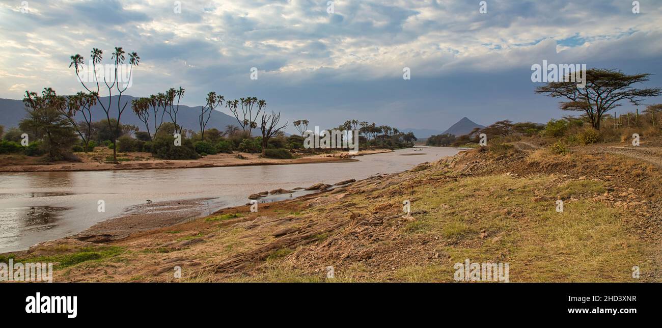 Paysage sur la rivière Ewaso Ngiro dans la réserve nationale de Samburu au Kenya. Banque D'Images