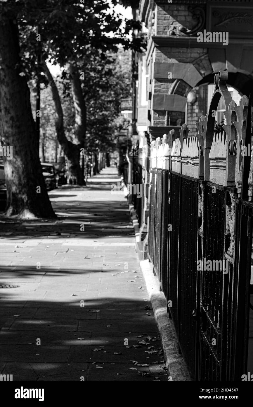 Photo verticale d'un trottoir avec des arbres sous la lumière du soleil, image en niveaux de gris Banque D'Images