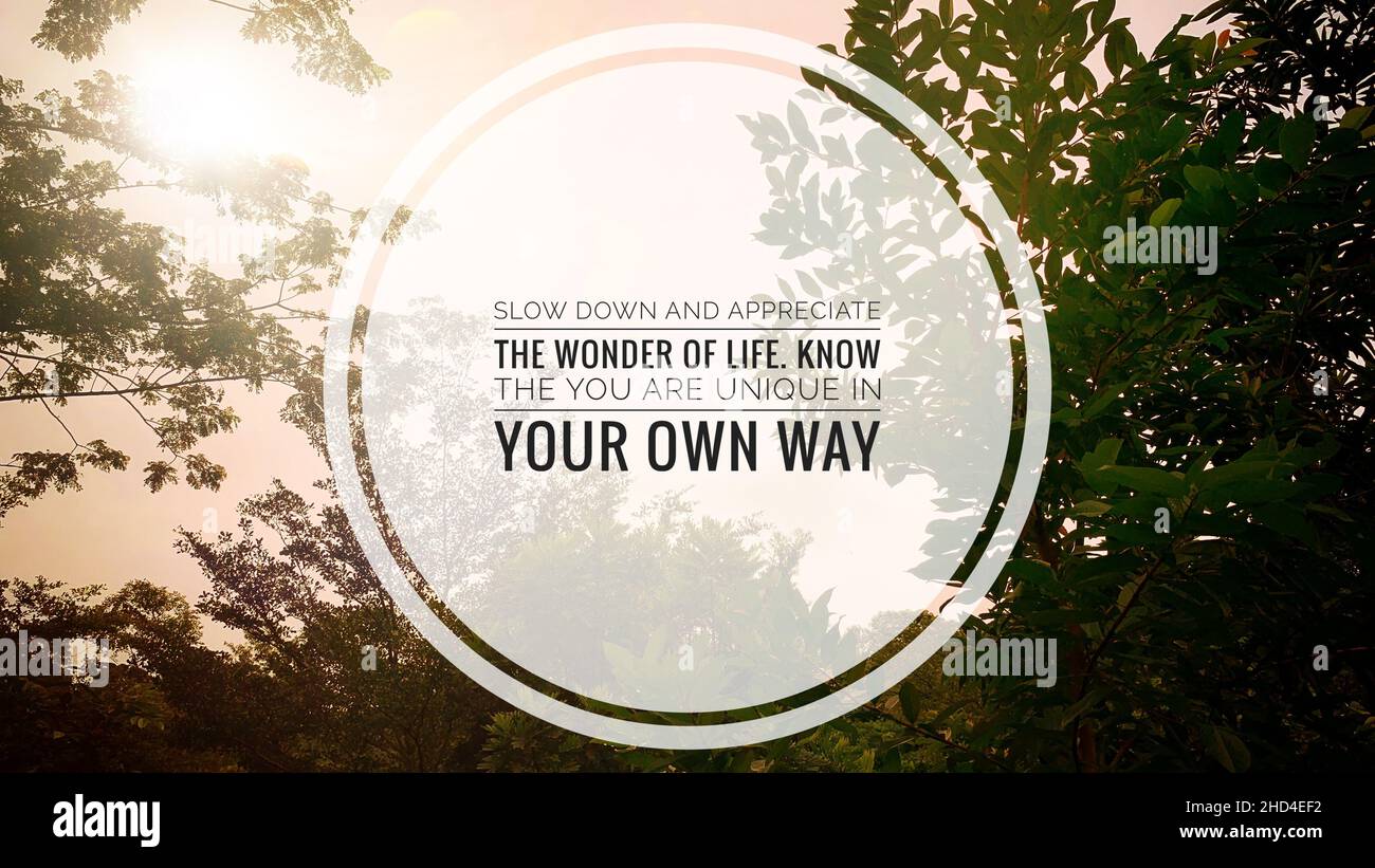 Citation Motivationnelle Inspirante Ralentissez Et Appreciez L Emerveillement De La Vie Avec Un Arriere Plan Lumineux De Nature Photo Stock Alamy