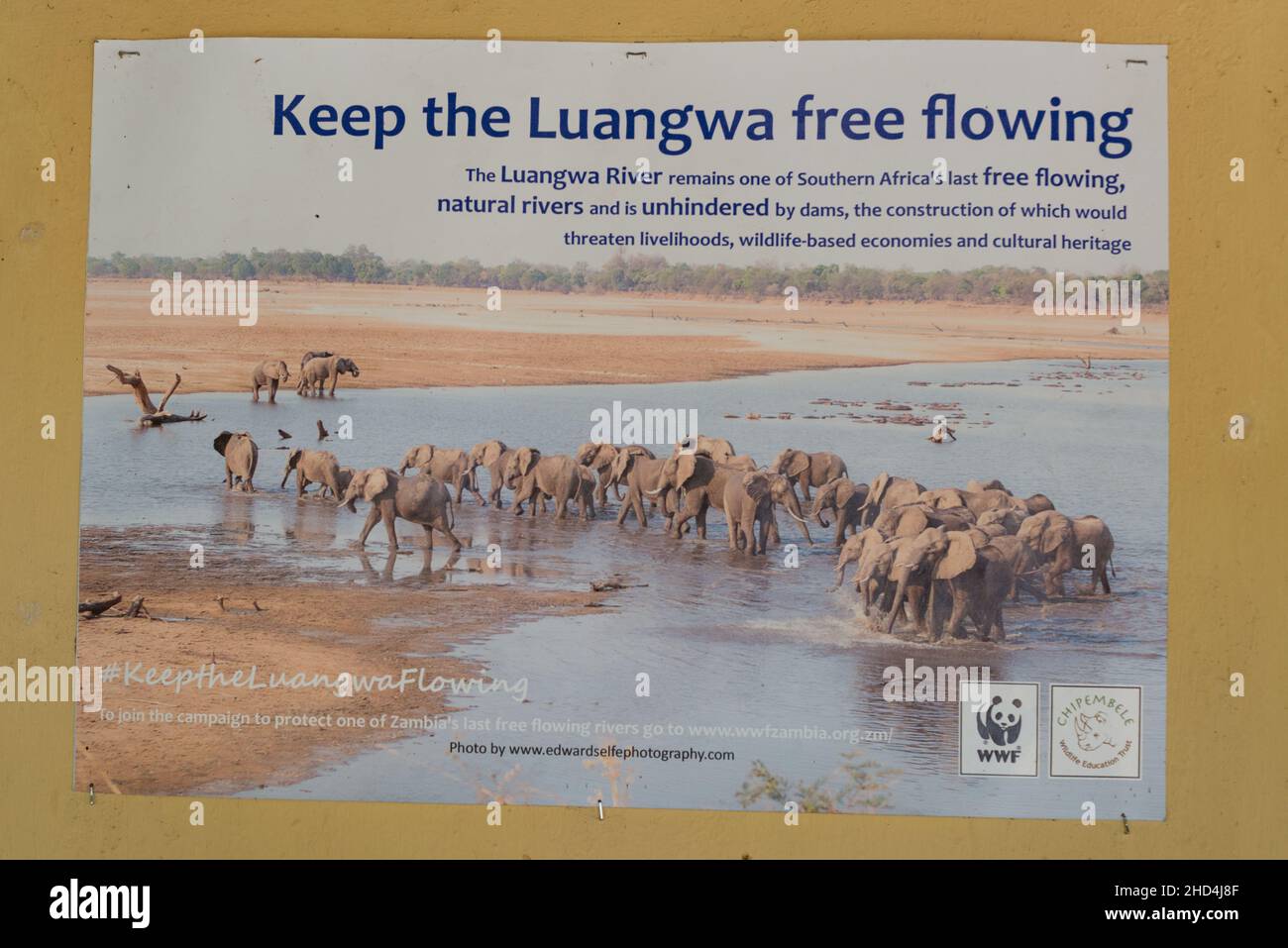 Affiche sur l'écologie des rivières au camp de Flatdogs, au parc national de South Luangwa, en Zambie Banque D'Images