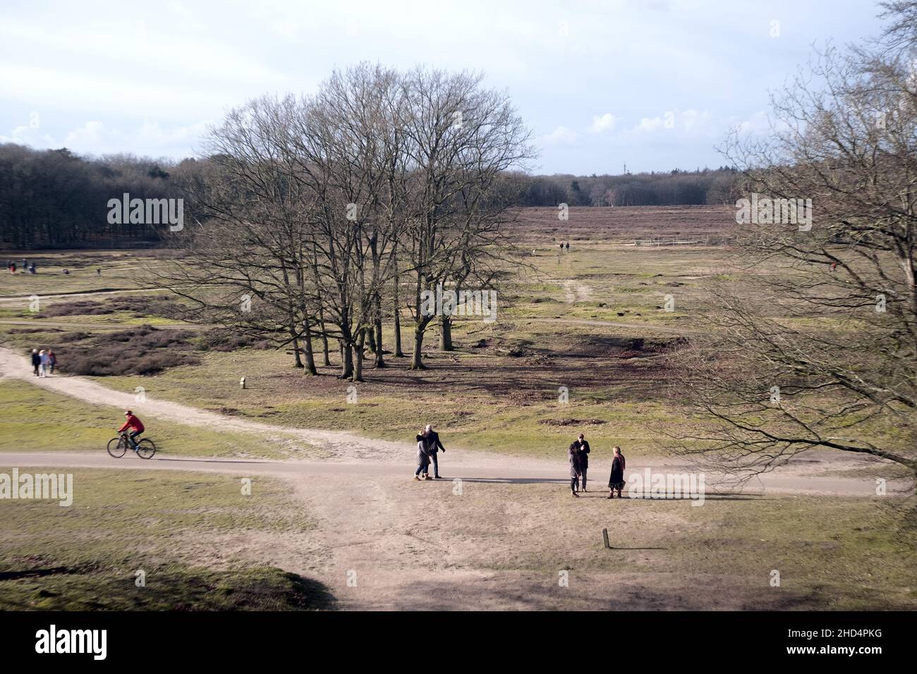 Photo en grand angle des gens qui marchent dans la rue le week-end Banque D'Images