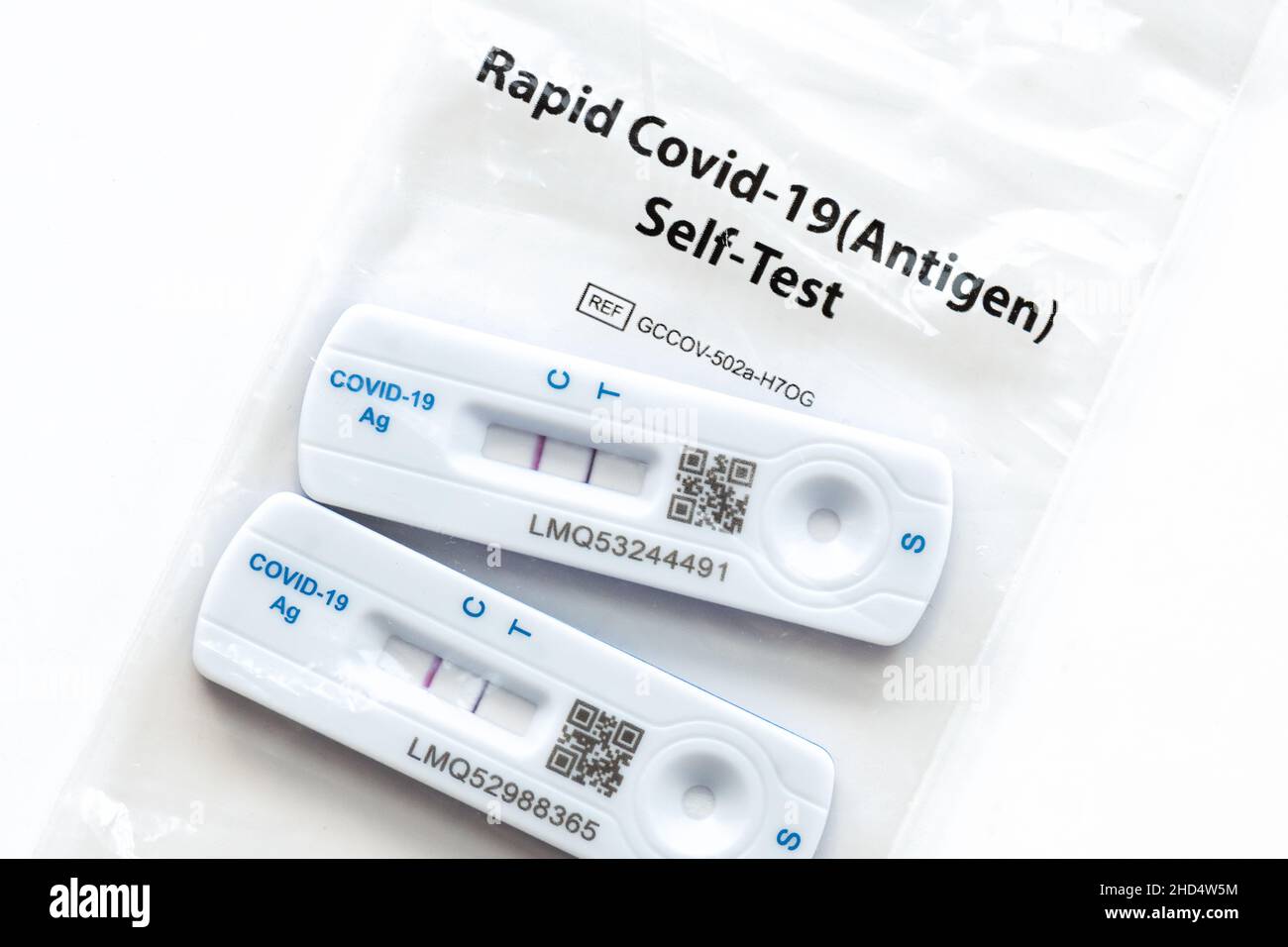 Tests de test de débit latéral positif Covid-19 stockés dans un sac à déchets en plastique - Écosse, Royaume-Uni Banque D'Images