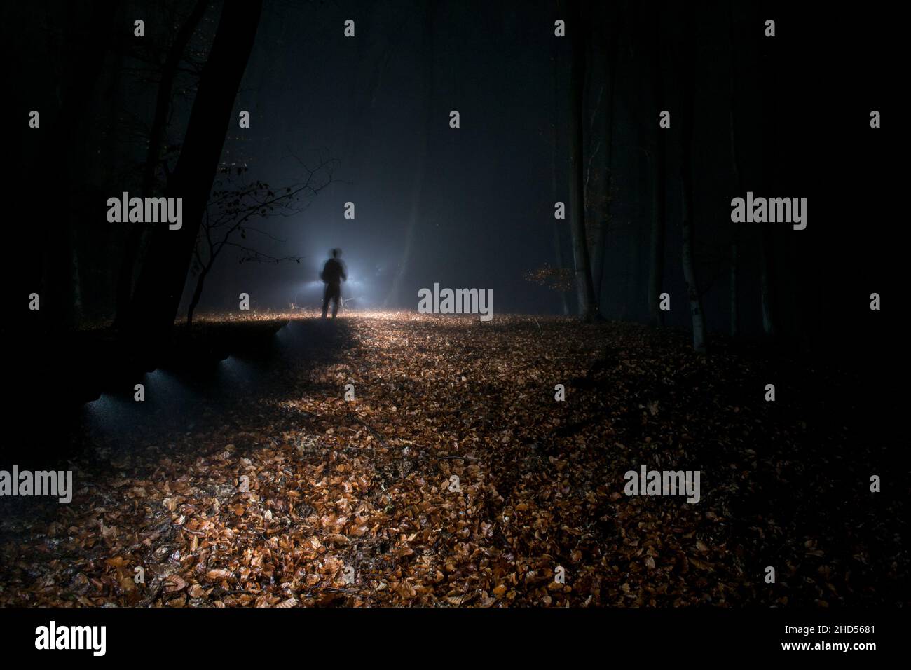 silhouette de personne effrayante dans la forêt sombre. lampe de poche rétro-éclairée. Banque D'Images
