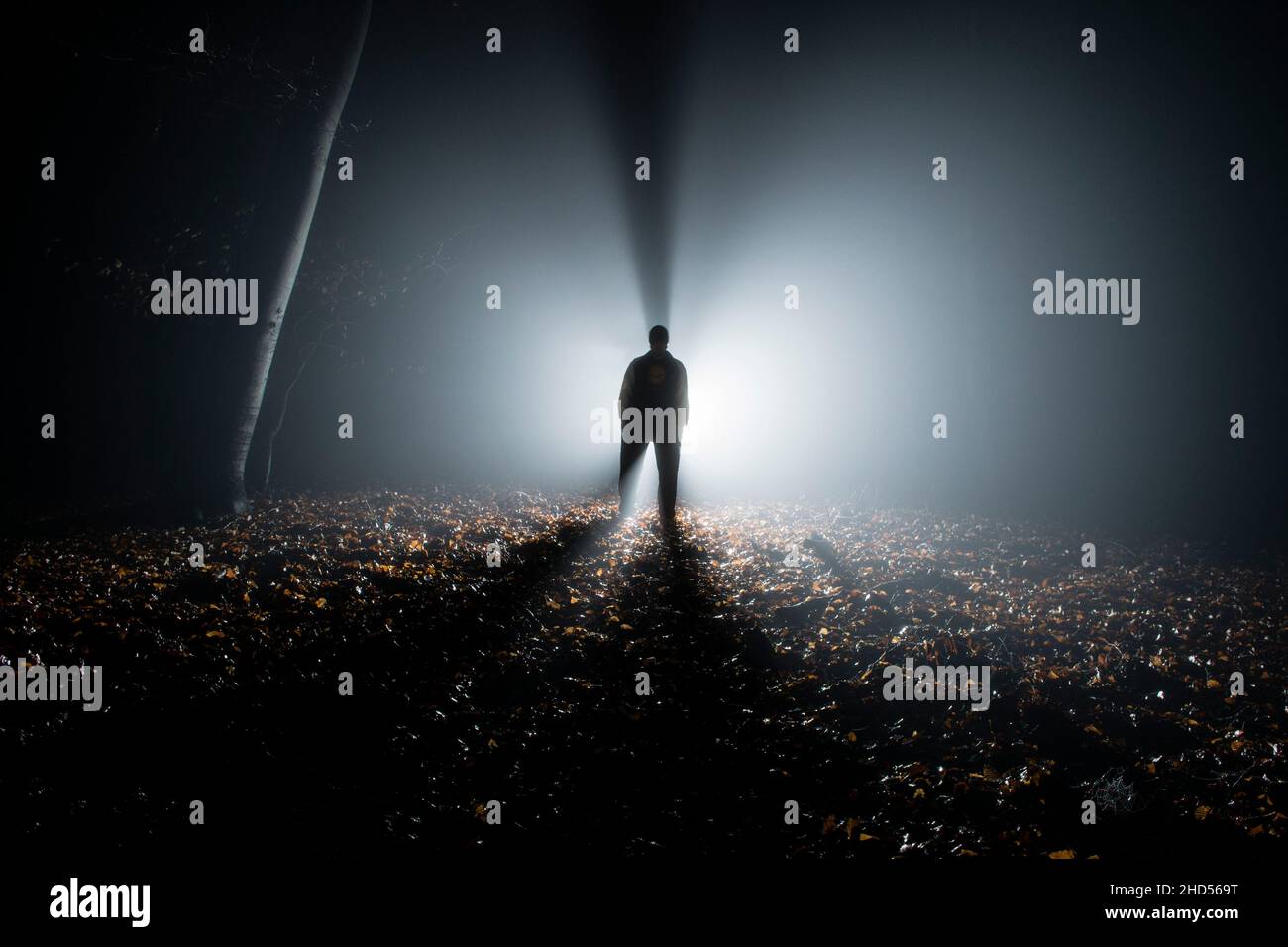 silhouette de personne effrayante dans la forêt sombre. lampe de poche rétro-éclairée. Banque D'Images