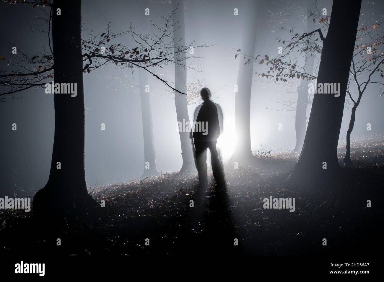 silhouette de personne effrayante dans la forêt sombre. lampe de poche rétro-éclairée. Banque D'Images