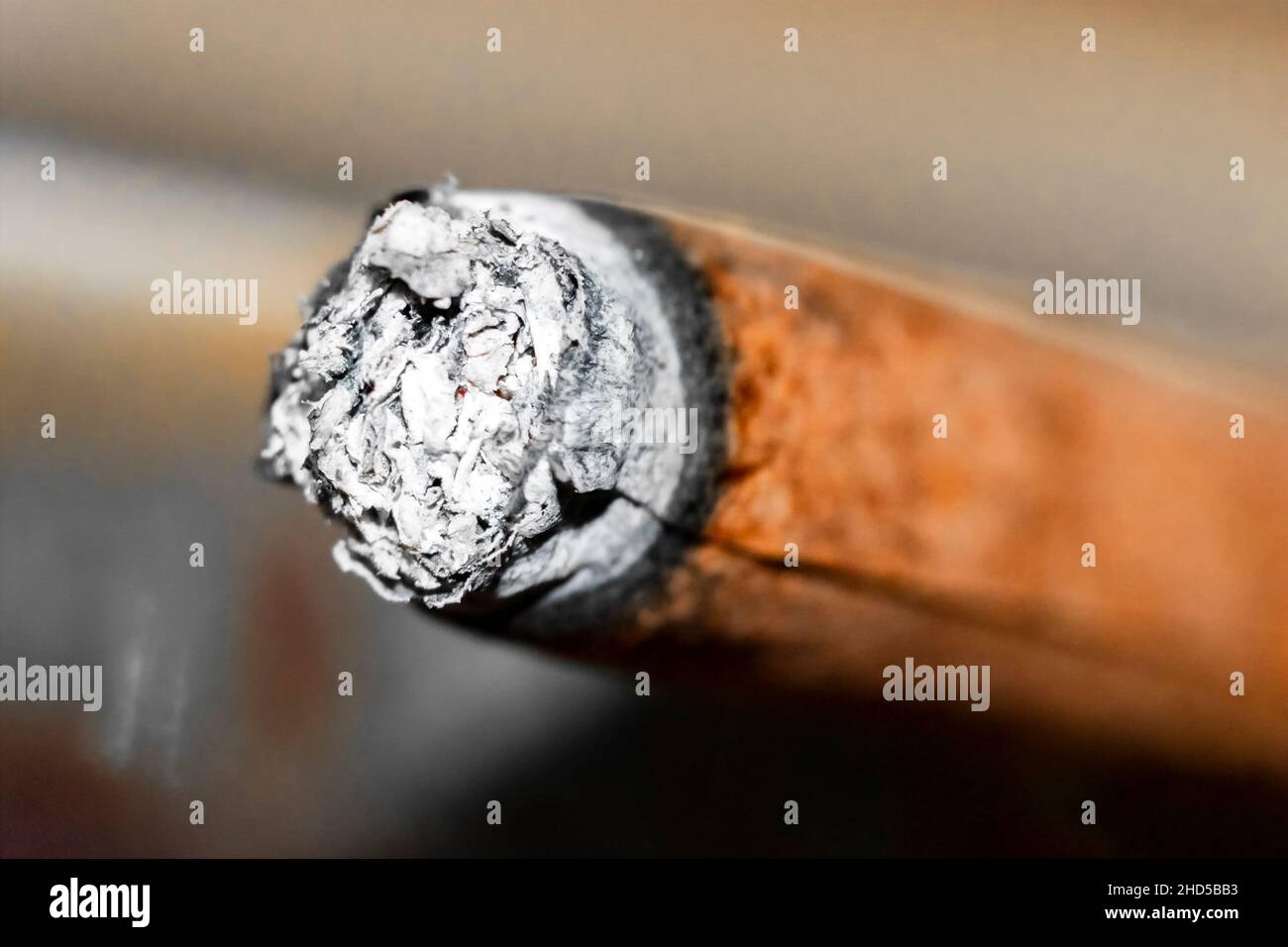 Cigarette marron couvant, cendres, prise de vue macro avec arrière-plan flou Banque D'Images