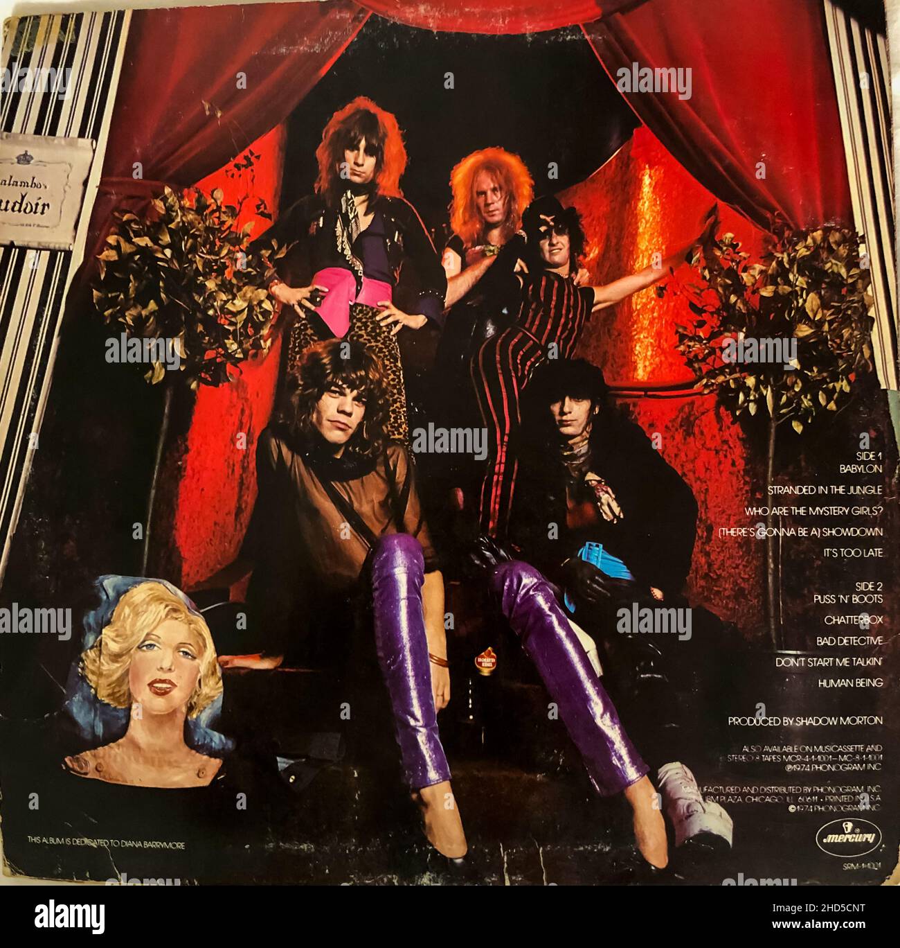 New York, NY, Punk Rock Album 'New York Dolls' 'Too Much, Too Soonn' musique des années 1970, Cover Photography, CULTURE DE LA JEUNESSE albums classiques rock vinyle (arrière) pochettes vintage Banque D'Images