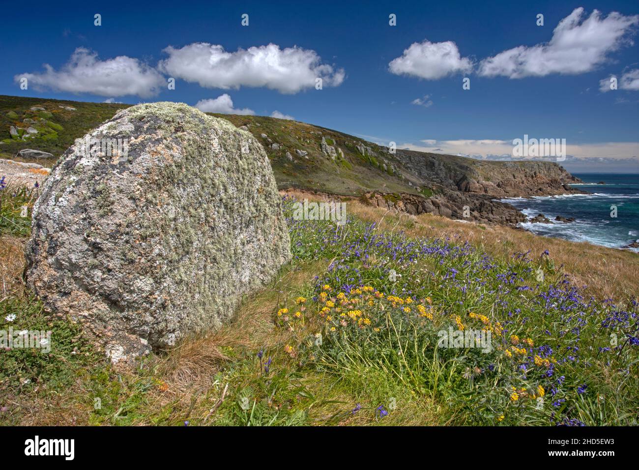Un bloc de granit entouré de fleurs sauvages de printemps par la côte. Banque D'Images