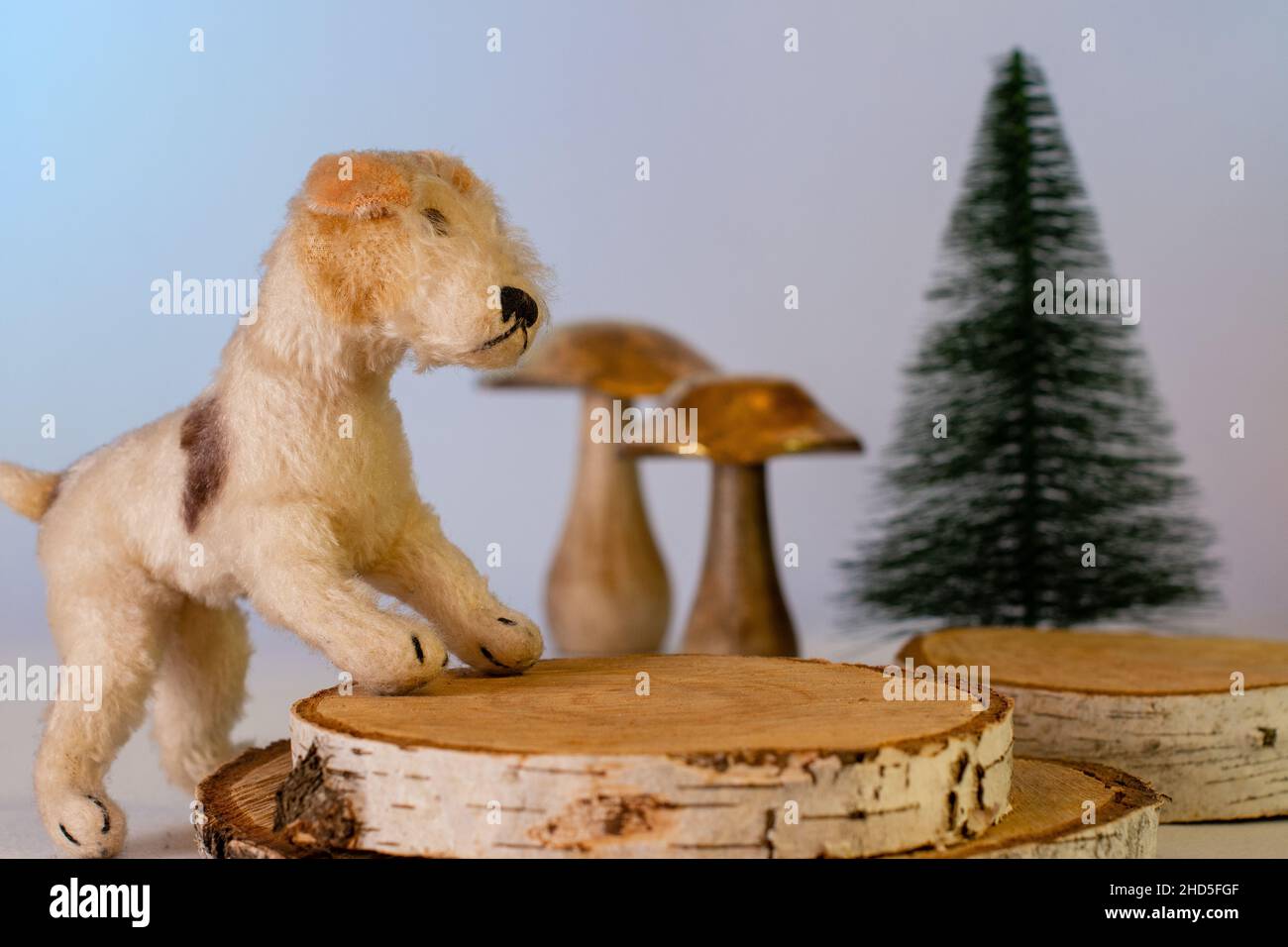 Chien Plushdog aux champignons dorés Banque D'Images