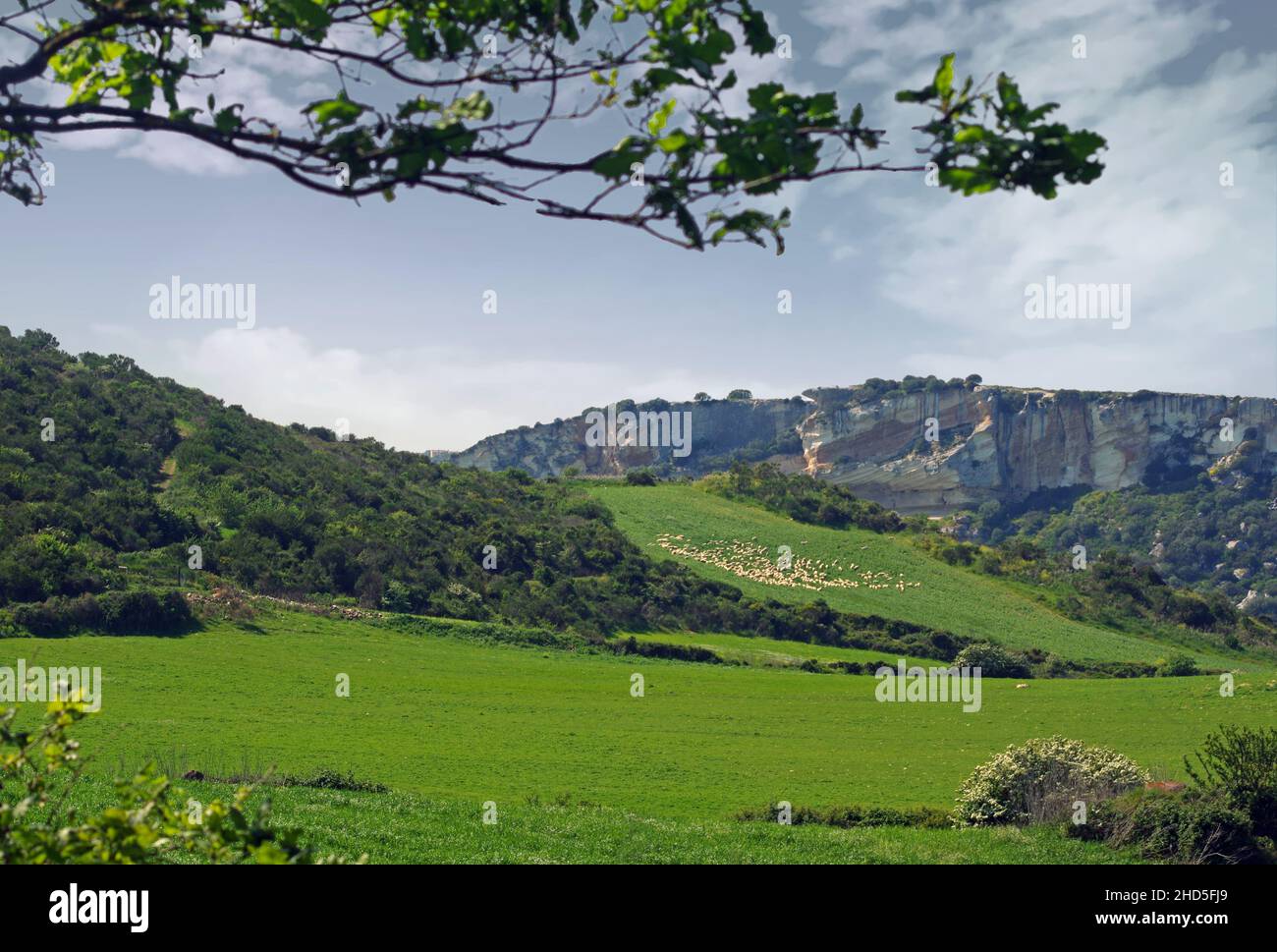 Sardaigne campagne près de Sassari au printemps Banque D'Images