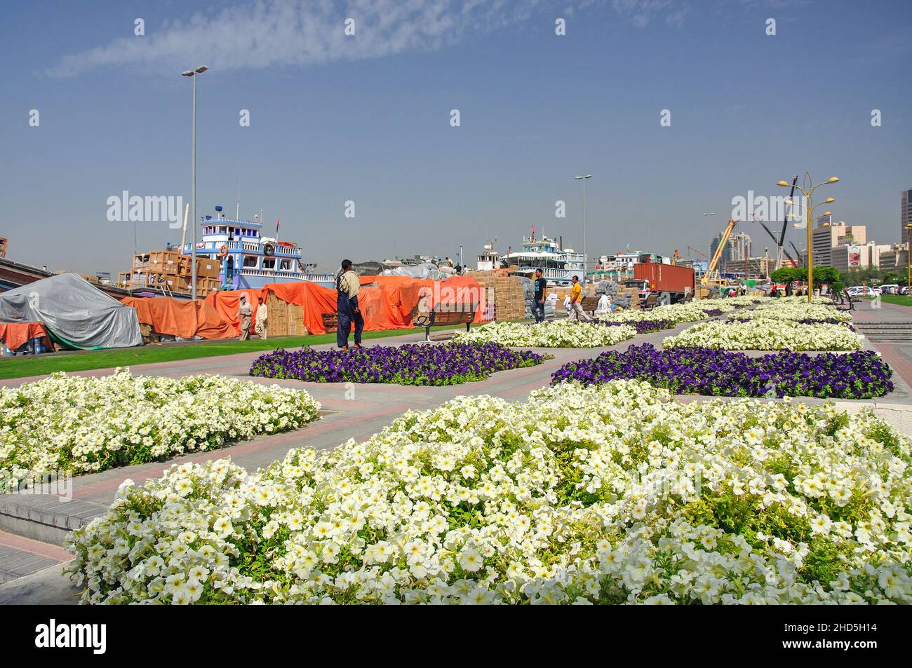 Promenade florale au bord de Dubai Creek, Deira, Dubaï, Émirats arabes Unis Banque D'Images
