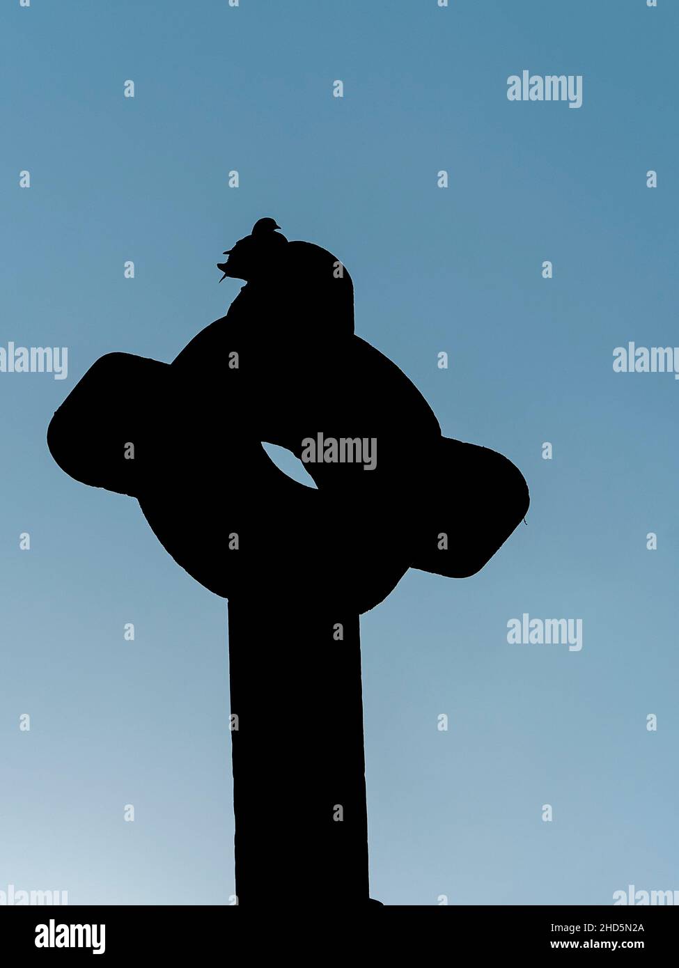 Une ombre d'un pigeon sur une pierre grave, contre le ciel bleu dans le cimetière, Mexico, Mexique Banque D'Images Une ombre d'un pigeon sur une pierre grave, contre le ciel bleu dans le cimetière, Mexico, Mexique Banque D'Images