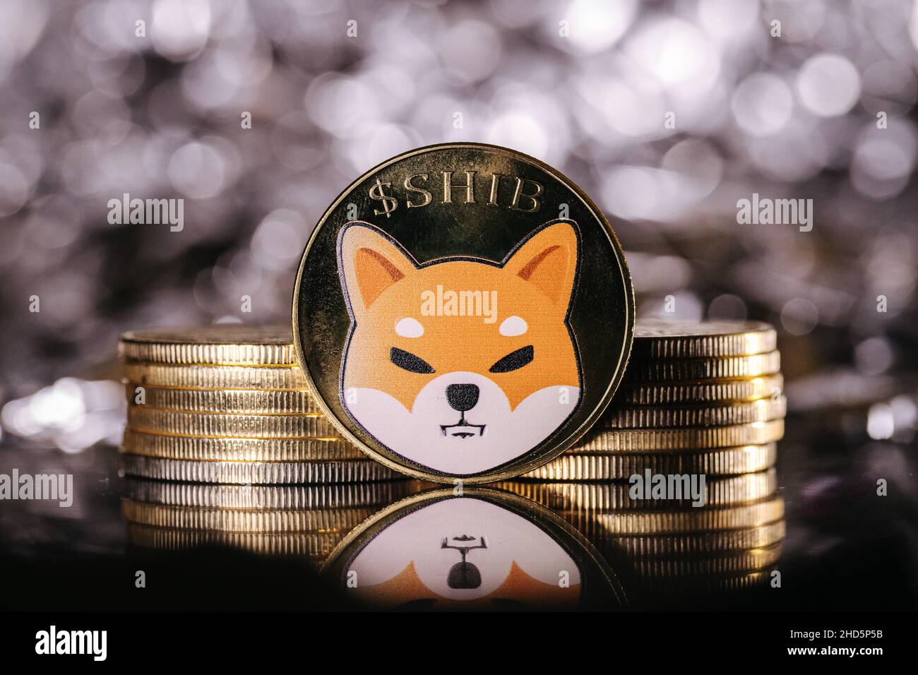 Shiba Inu SHIB crypto-monnaie physique placée sur le clavier dans le fond  sombre Photo Stock - Alamy