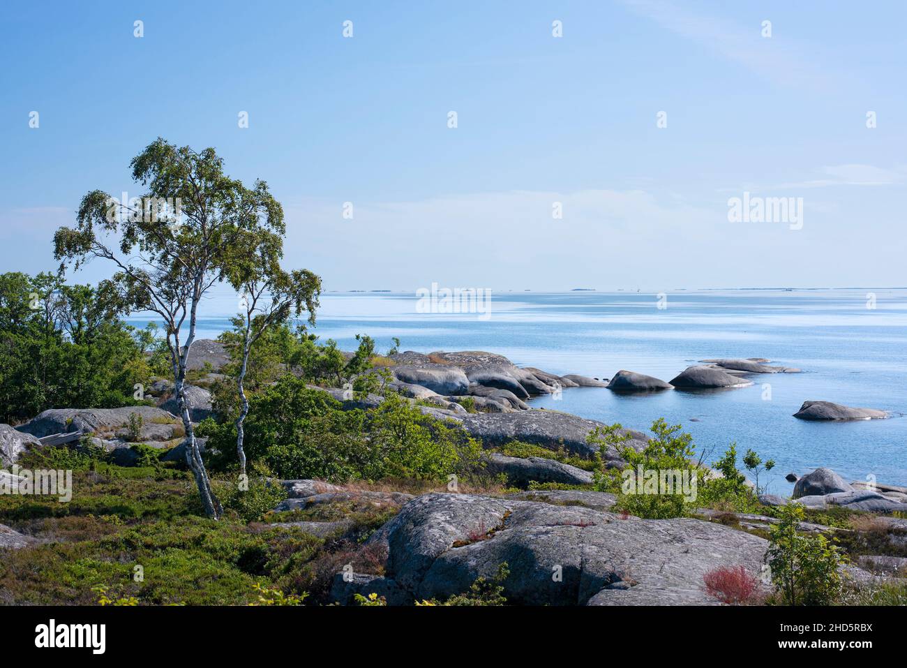 Vue sur Svartlögafjädern depuis l'île d'Enskär dans l'archipel de Stockholm Banque D'Images