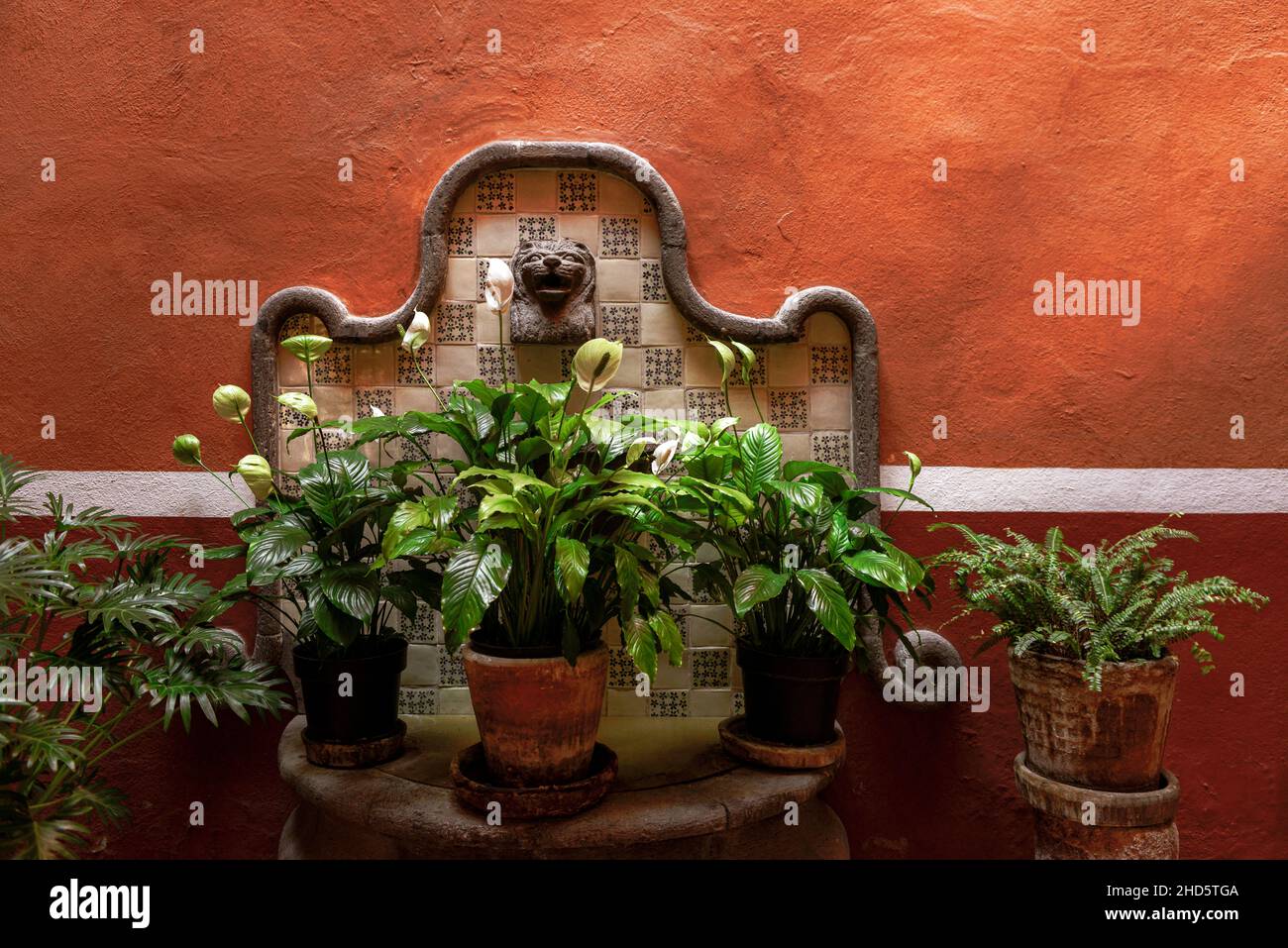 Lilas, fougères et autres plantes en pot dans un environnement rustique avec murs de couleur terre cuite et carrelage décoratif dans la cour de l'espace public Banque D'Images