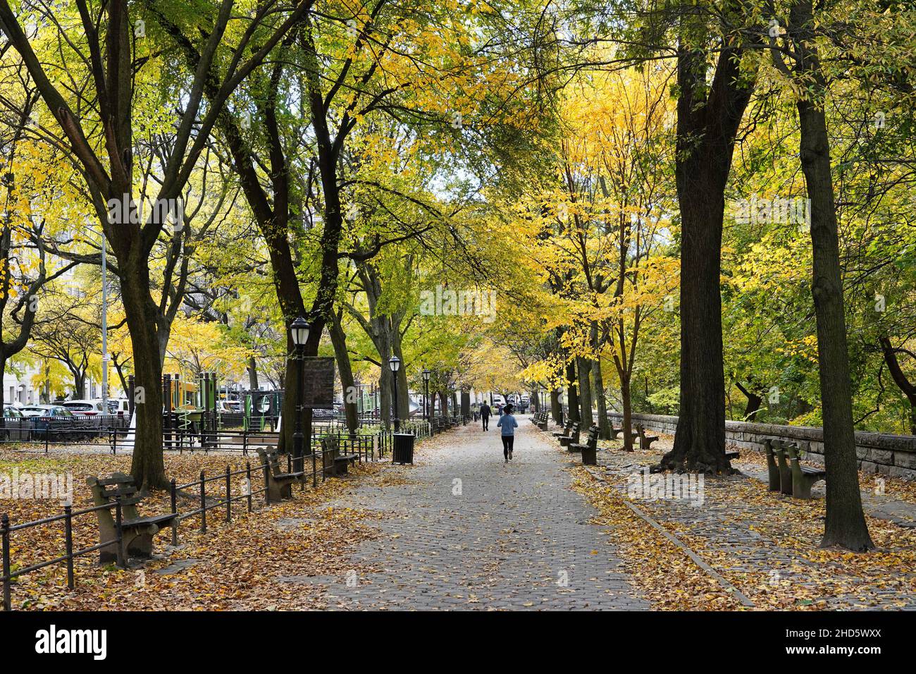 Forêt urbaine dans le nord de Manhattan, dans le parc Riverside, le long de l'Hudson River Banque D'Images