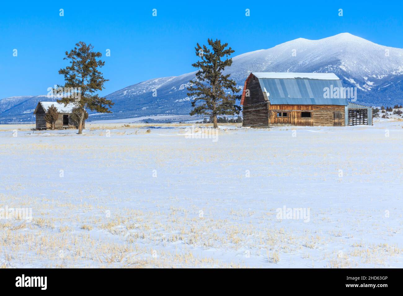 ancienne grange en bois et cabine sous le mont baldy en hiver près de townsend, montana Banque D'Images