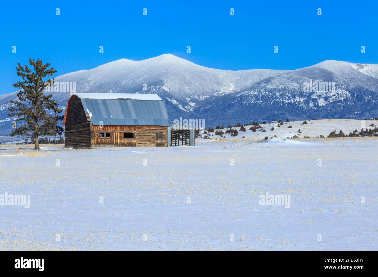 ancienne grange en bois sous le mont baldy en hiver près de townsend, montana Banque D'Images