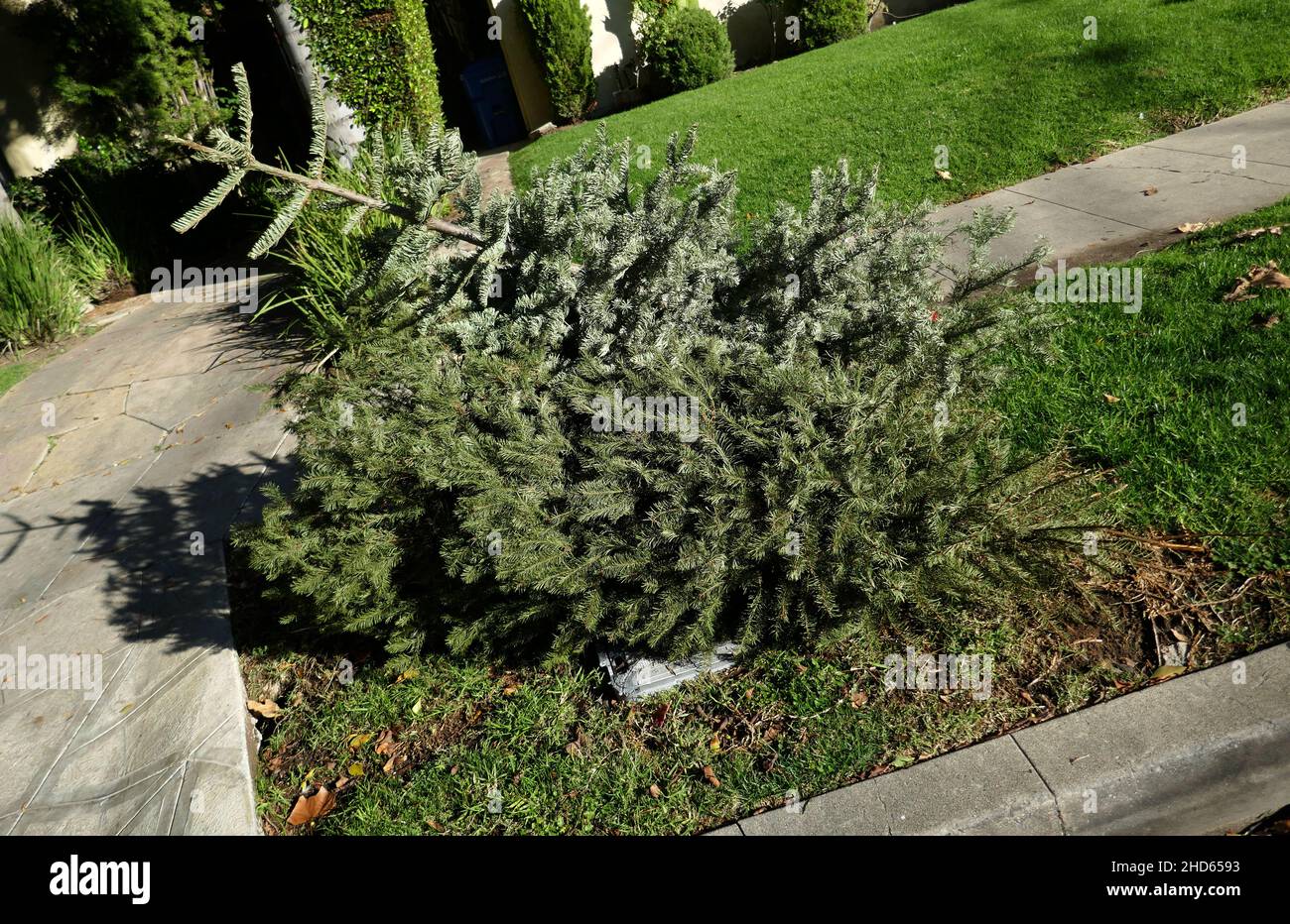 Los Angeles, Californie, États-Unis 2nd janvier 2022 Une vue générale de l'atmosphère des arbres de Noël rejetés dans la rue pendant Covid-19 le 2 janvier 2022 à Los Angeles, Californie, États-Unis.Photo par Barry King/Alay stock photo Banque D'Images