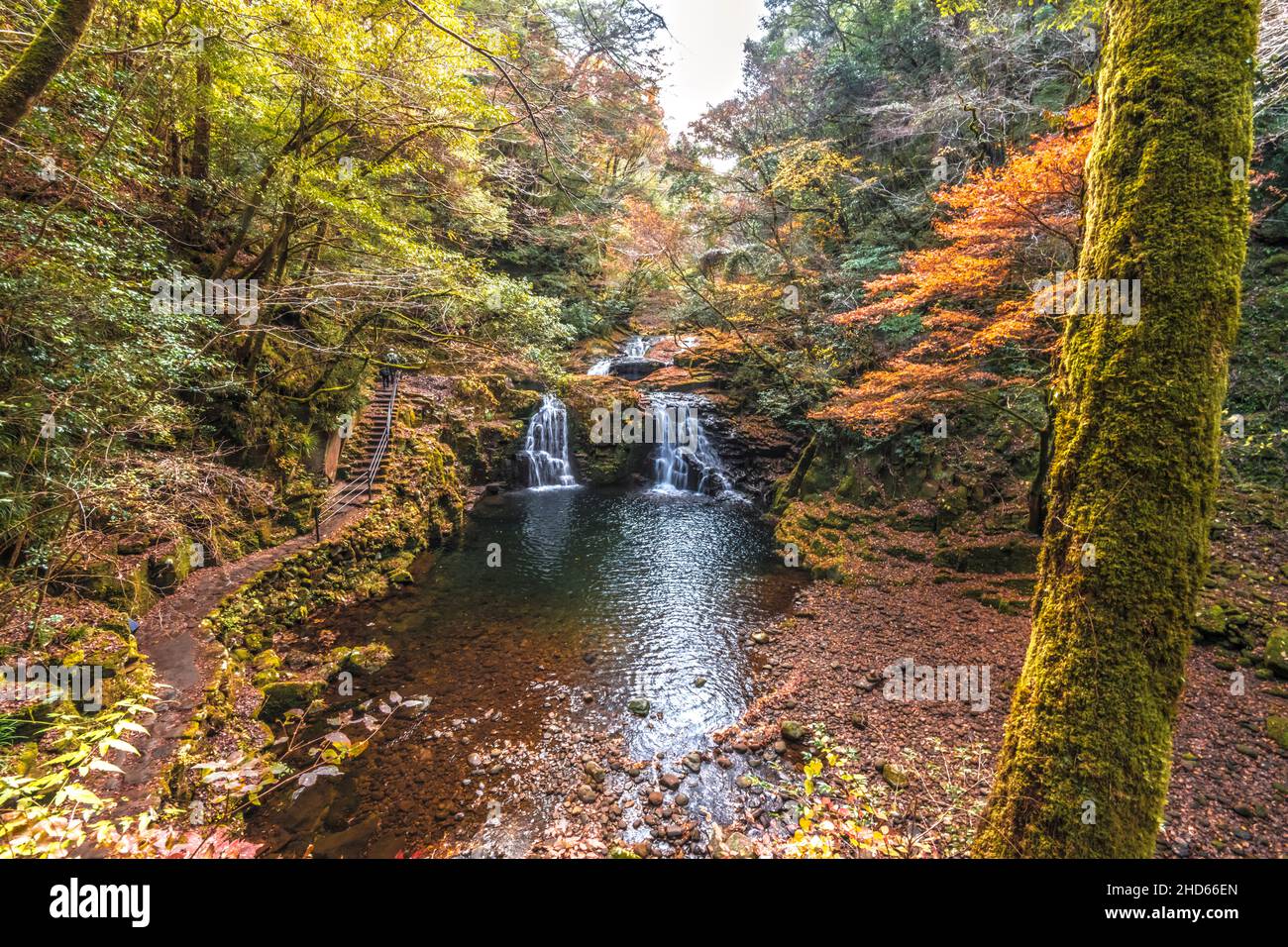 L'eau des cours d'eau de montagne tombant dans le jardin de rochers couvrait les feuilles d'automne Banque D'Images