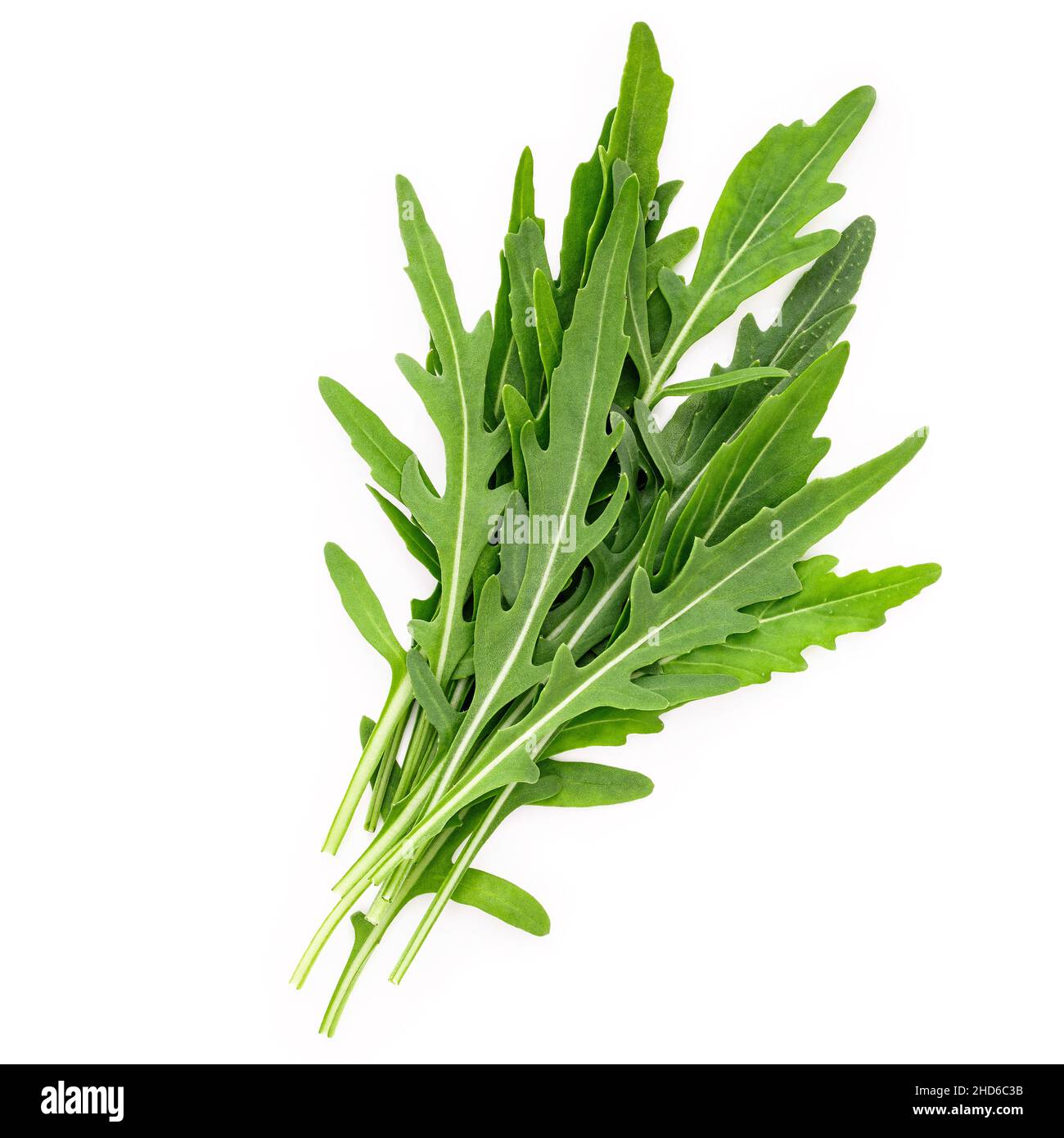 Feuilles d'arugula isolées sur fond blanc. Gros plan feuilles de roquette sauvages fraîches sur fond blanc vue de dessus. Banque D'Images