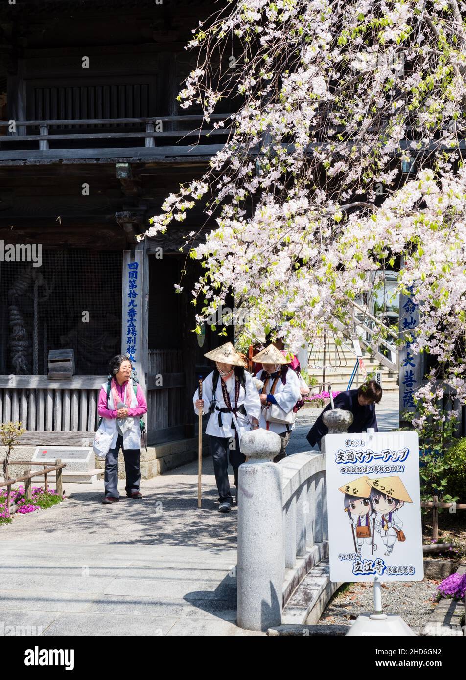 Komatsushima, Japon - 4 avril 2018 : pèlerins sortant de la porte de Tatsueji, temple numéro 19 du pèlerinage de Shikoku, avec fleurs de cerisiers Banque D'Images