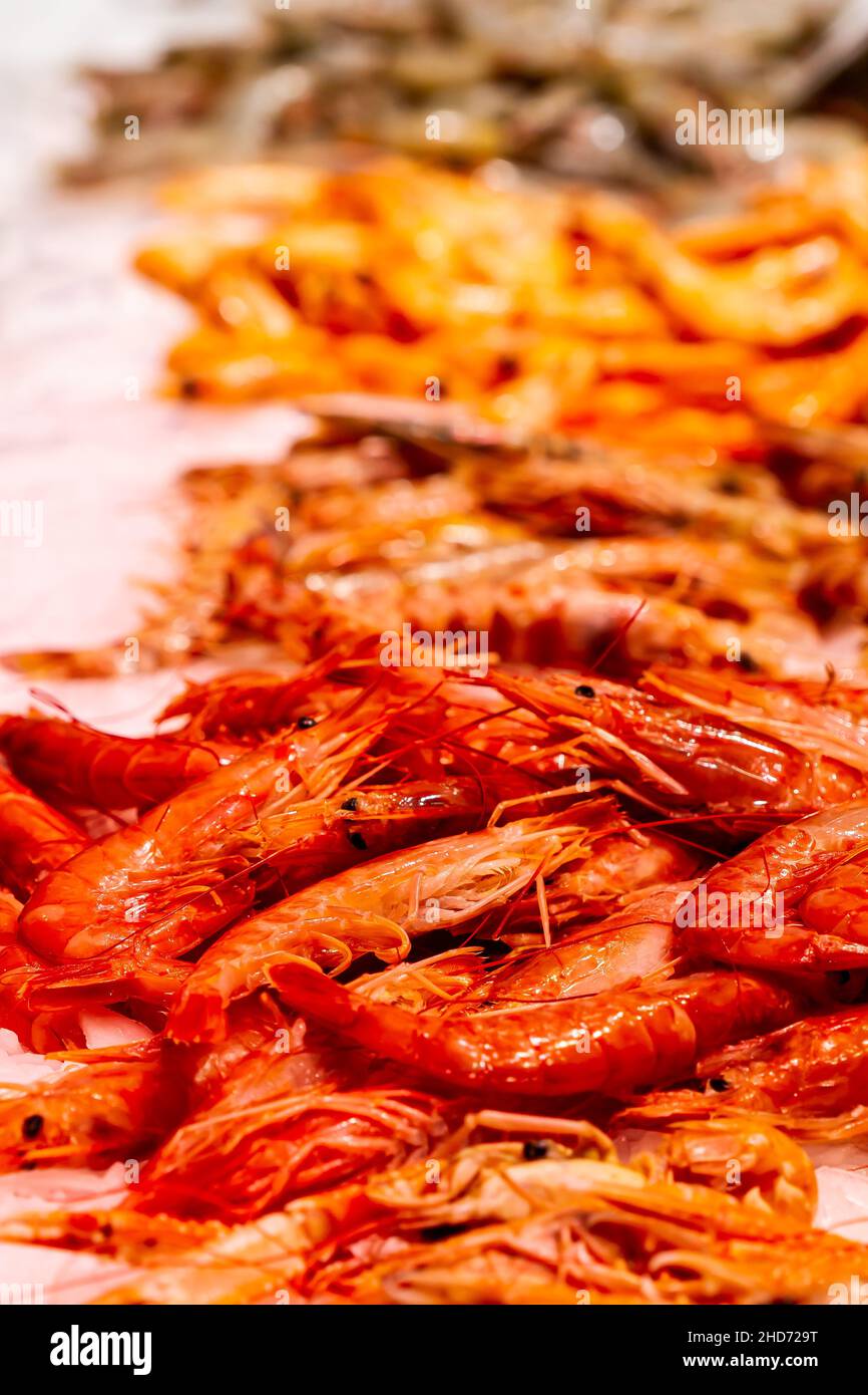 Photo verticale de crevettes fraîches en exposition dans un magasin de fruits de mer avec un fond flou Banque D'Images