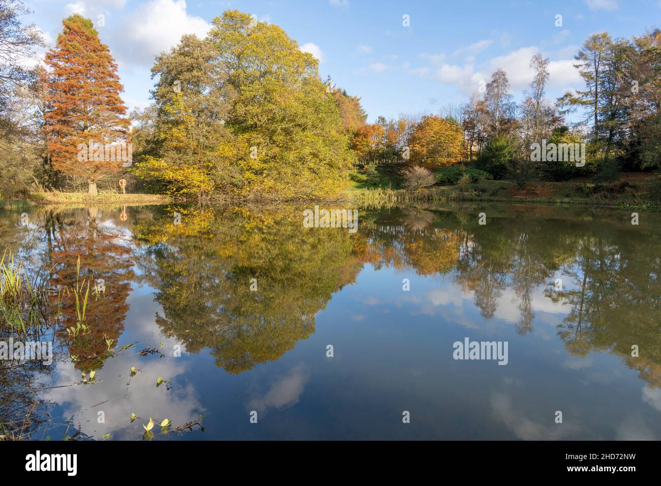 Couleur d'automne dans les arbres de l'arboretum Castle Howard Banque D'Images
