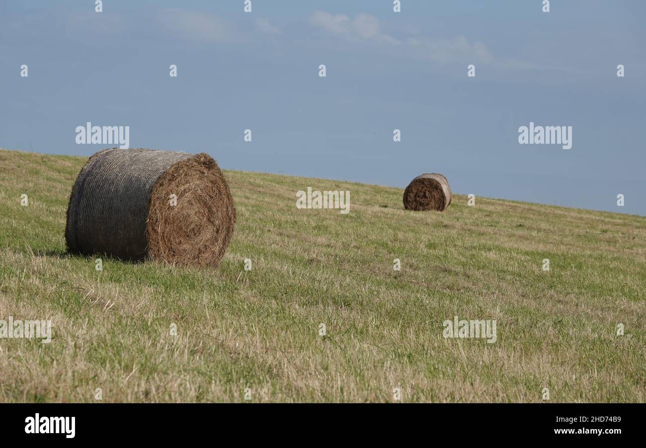 Belle vue sur le foin sur une colline herbeuse à la fin de l'été, Norfolk, Royaume-Uni Banque D'Images