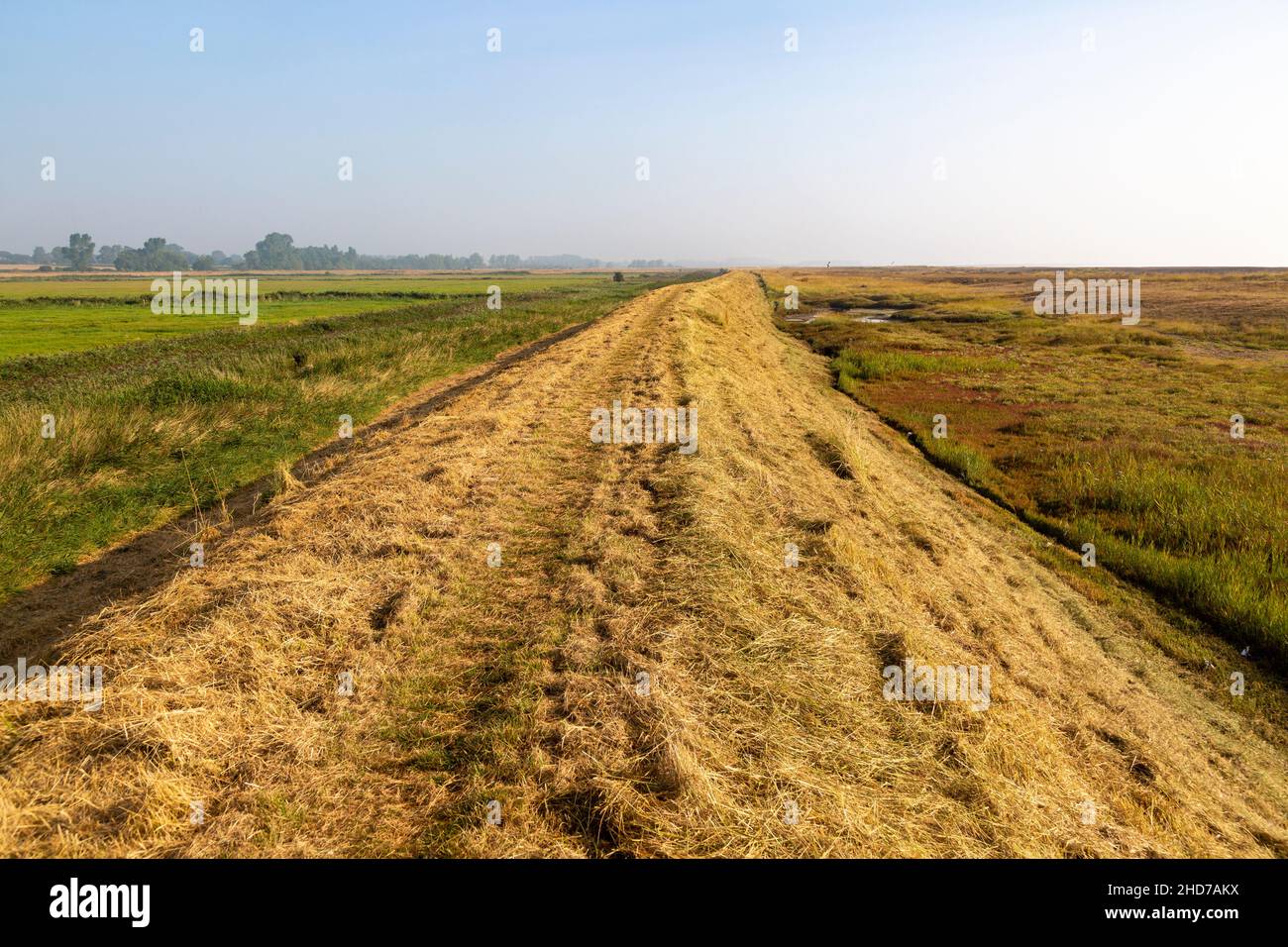 Chemin sur le dessus de la rive de la terre digue de défense contre les inondations traversant le marais, Hollesley, Suffolk, Angleterre, Royaume-Uni Banque D'Images