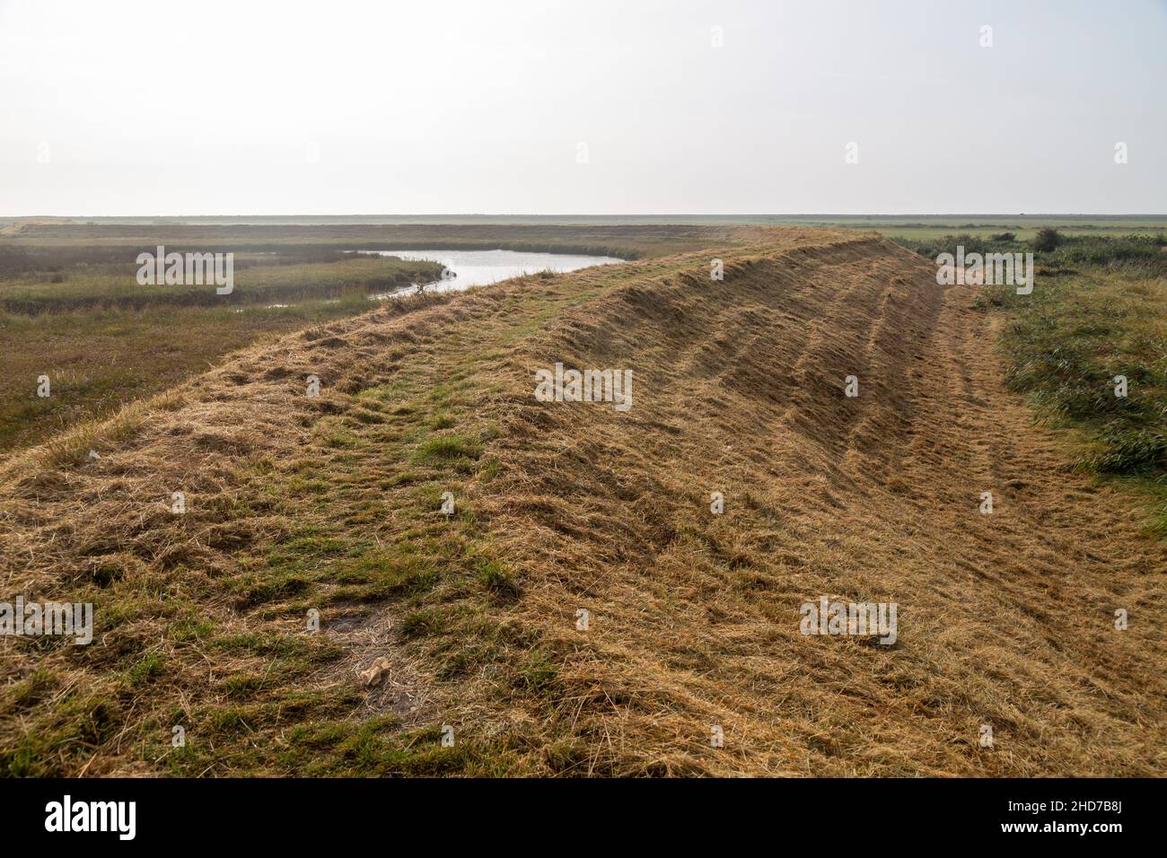 Chemin sur le dessus de la rive de la terre digue de défense contre les inondations traversant le marais, Hollesley, Suffolk, Angleterre, Royaume-Uni Banque D'Images