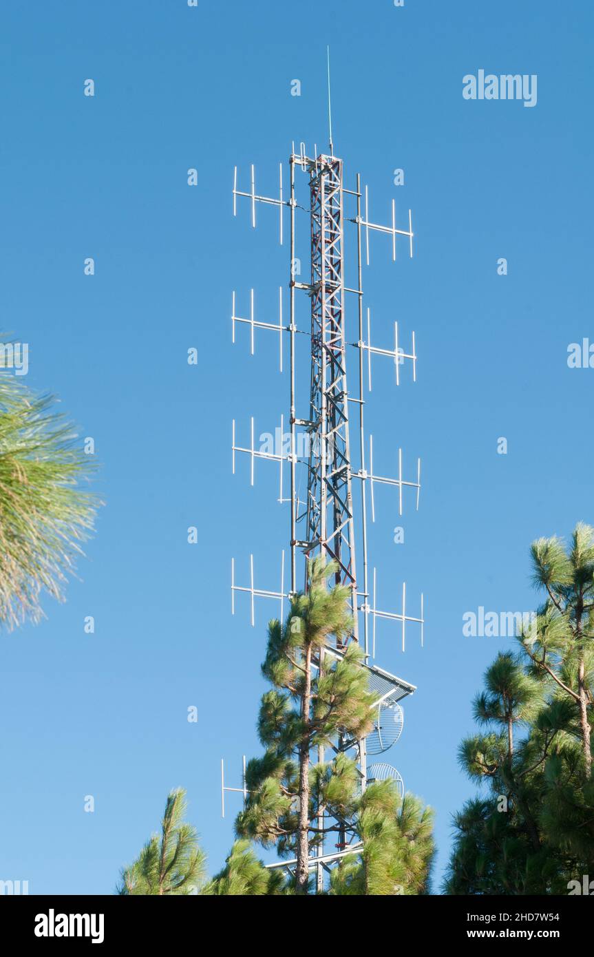 antennes de communication au milieu d'une forêt Banque D'Images