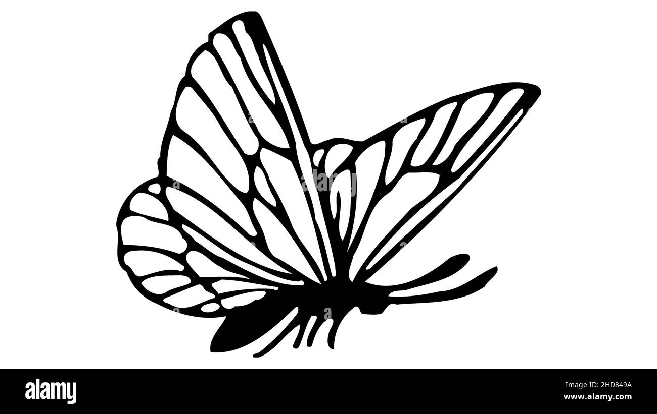 Papillon noir, isolé sur un fond blanc, motif papillons de coloriage livre.Mise en plan linéaire Illustration de Vecteur