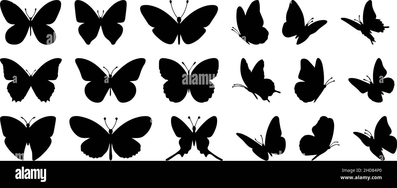 Ensemble de silhouettes noires de papillons, icône papillon et logos Illustration de Vecteur
