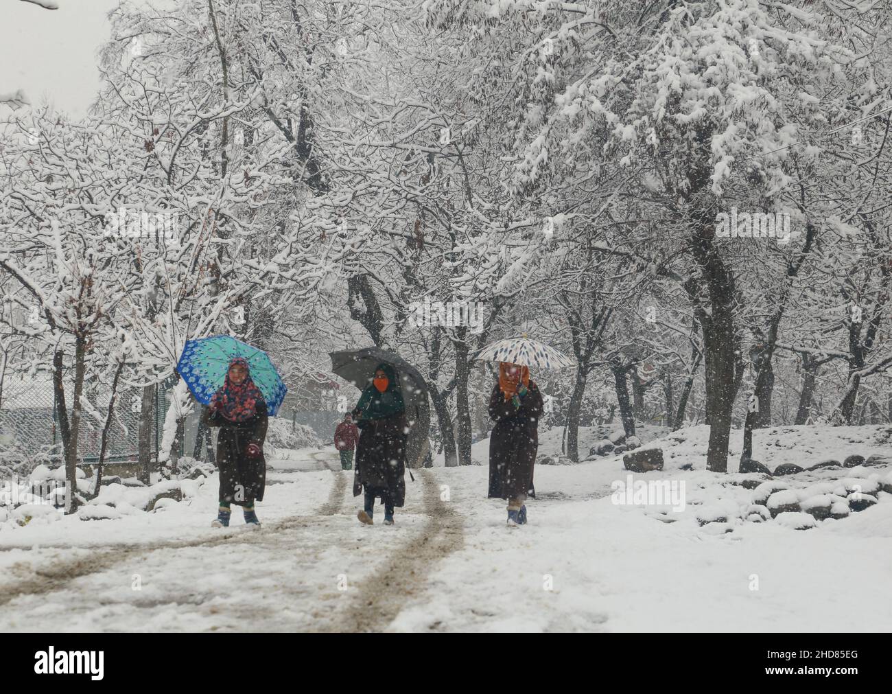 4 janvier 2022, Srinagar, Jammu-et-Cachemire, Inde: Les enfants marchent dans un verger couvert de neige à la périphérie de Srinagar-Cachemire.Le bureau météorologique a publié lundi un avis annonçant des chutes de neige modérées à fortes au Jammu-et-Cachemire et au Ladakh, et a mis en garde contre les perturbations des transports en surface et aériens de janvier 3 à janvier 9.(Credit image: © Sajad Hameed/Pacific Press via ZUMA Press Wire) Banque D'Images