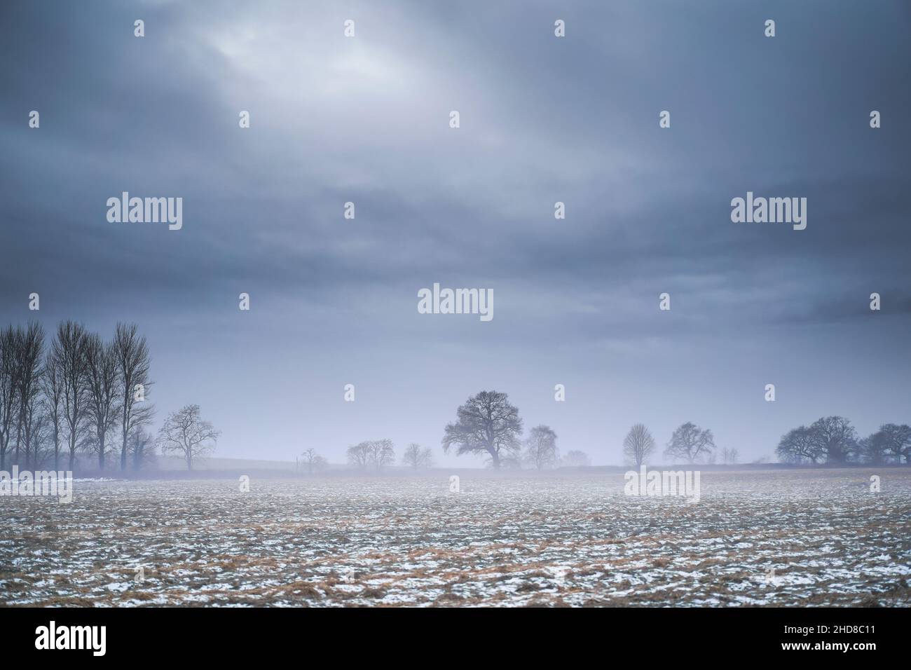 Campagne rurale, champ de campagne anglaise dans la brume atmosphérique, hivernale avec une légère couverture de neige sur le sol. Janvier paysage naturel du Royaume-Uni. Banque D'Images