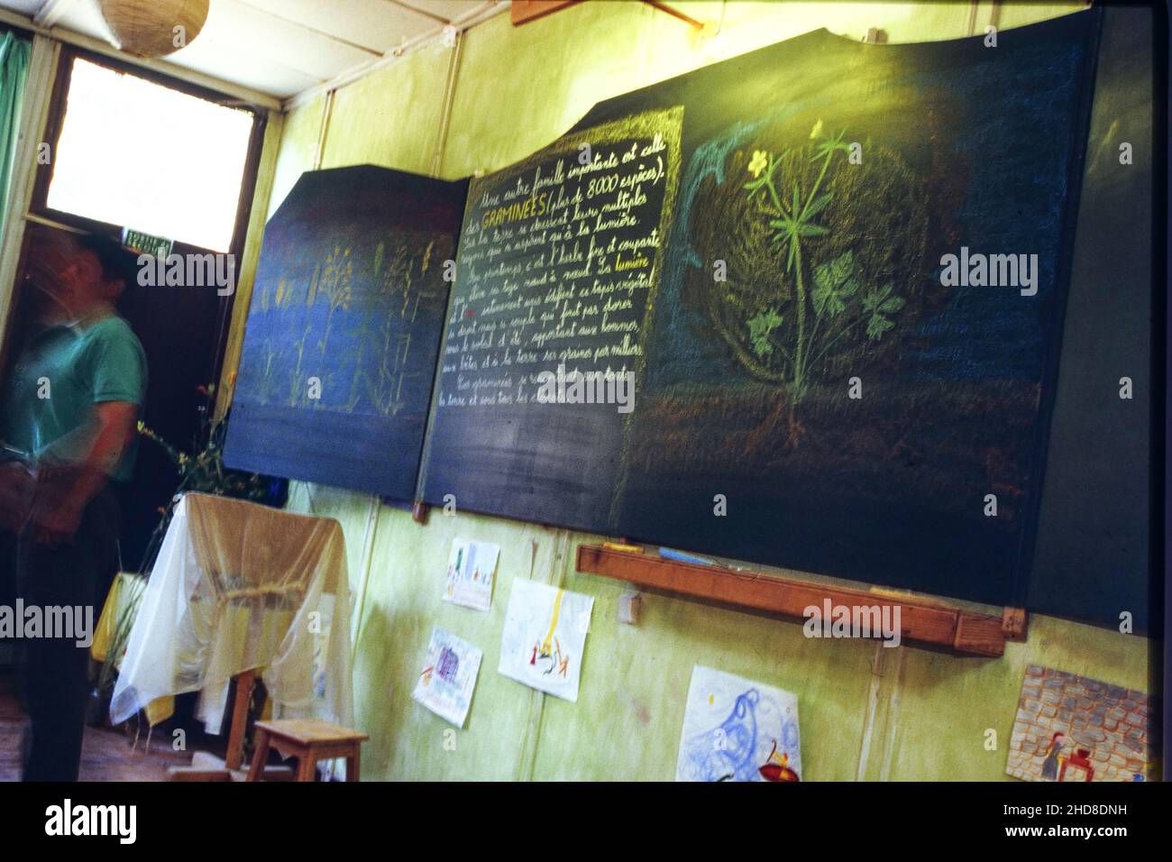 Archives 90ies : élèves de l'école privée Steiner, Saint-Genis Laval, Rhône, France, 1995 Banque D'Images