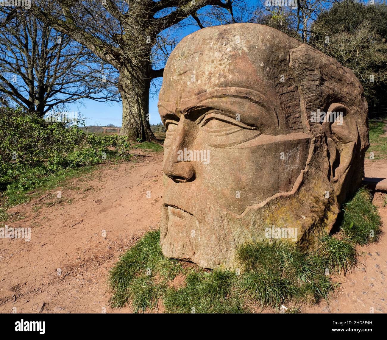 Tête plate de Goram le géant sur le domaine Ashton court à Bristol qui détient un topographe de la campagne environnante - Bristol UK Banque D'Images