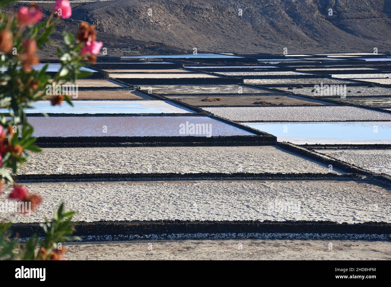 Salinas de Janubio colorées sur Lanzarote, îles Canaries, Espagne Banque D'Images