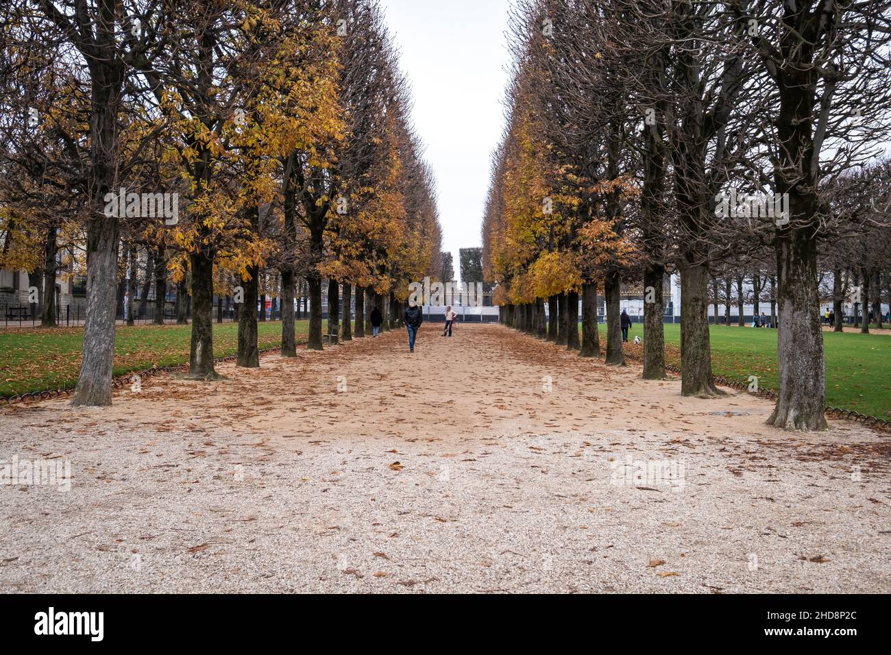 Le jardin du Luxembourg à Paris, en France, le matin de l'automne, les gens font du vélo, se promener ou se reposer. Banque D'Images