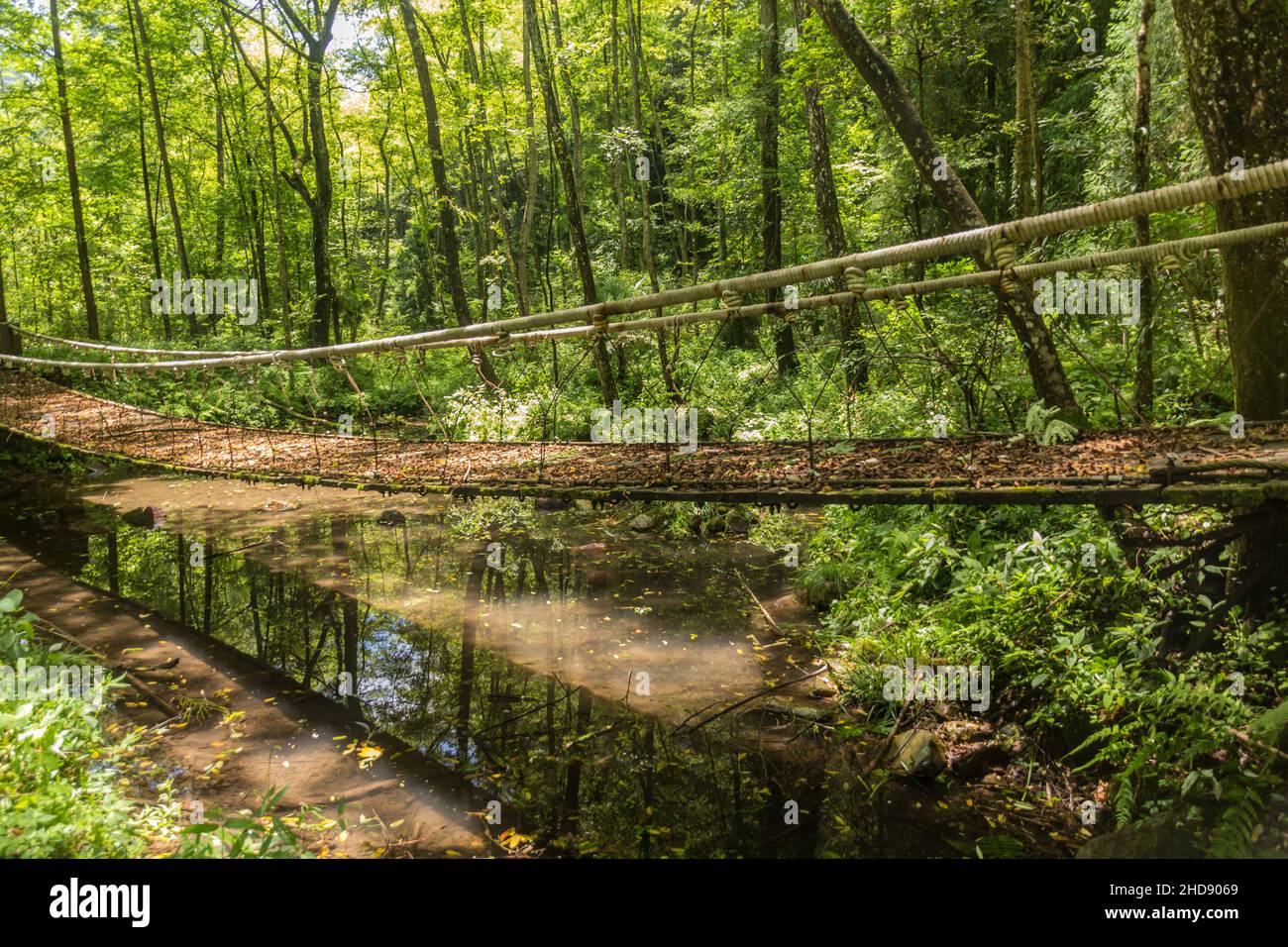 Pont suspendu dans le parc forestier national de Zhangjiajie dans la province de Hunan, en Chine Banque D'Images