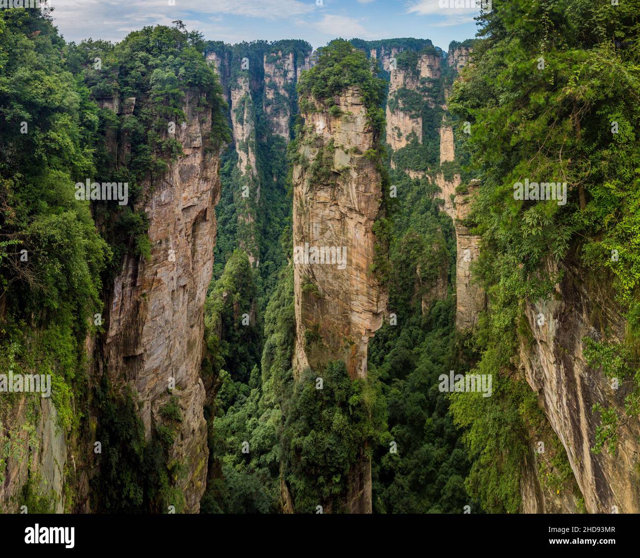 Formations rocheuses dans la zone panoramique de Wulingyuan du parc forestier de Zhangjiajie, Chine Banque D'Images