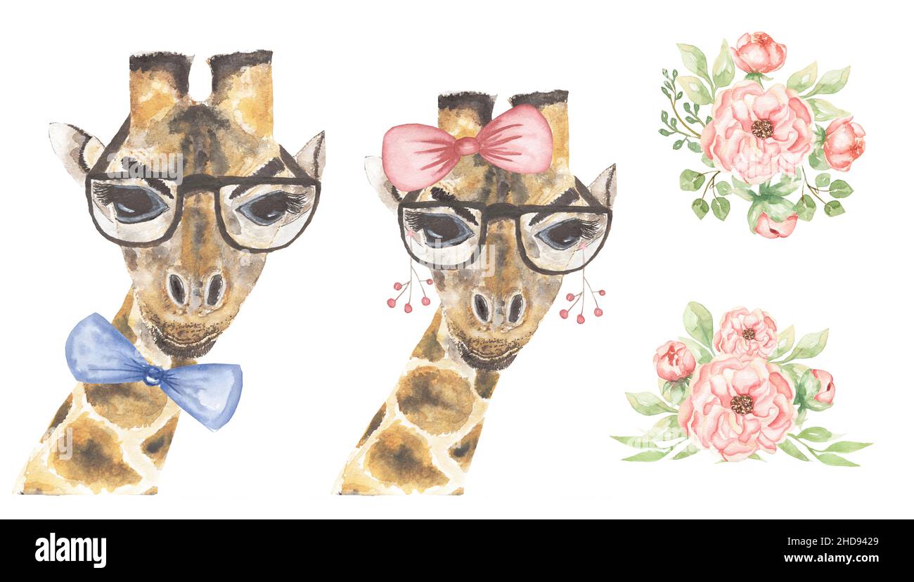 Girafe de face dessin aquarelle Banque d'images détourées - Alamy