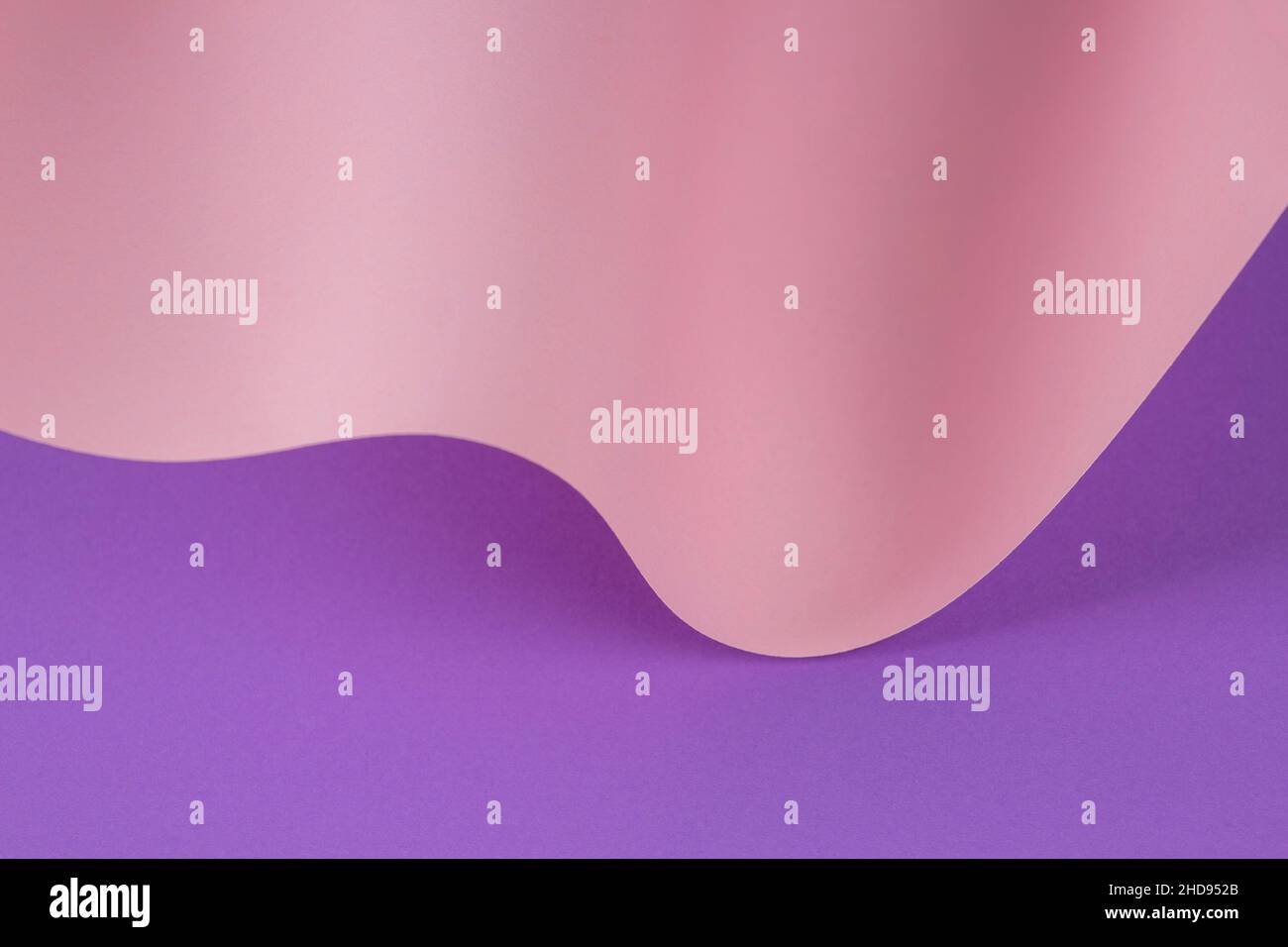 Vague abstraite de papier rose pastel et violet.Papier courbe géométrique créatif avec lumière et ombres.Arrière-plan de géométrie abstraite avec espace de copie Banque D'Images